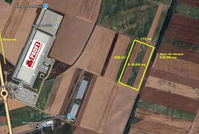Teren extravilan 80.000 mp – lângă calea ferată & Profi Logistic – Șag - 1