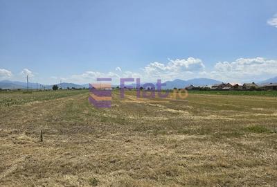 Teren Construcții intravilan de 840 mp, în Hărman - 9