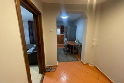 Apartament cu 2 camere decomandat în Valea Rosie - 15