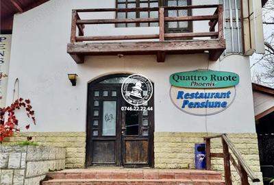 Casă cu 5 camere cu Teren 4500 Mp în Schitu Duca - 1