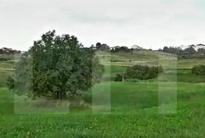 Teren intravilan ,4039 mp,in cartierul Borhanci - 1