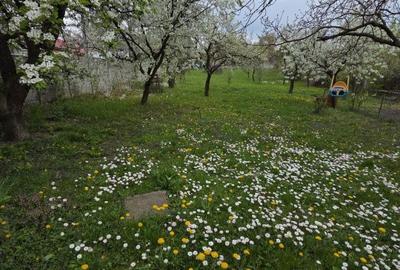 Casă cu 5 camere cu Teren 1800 Mp în Central - 9