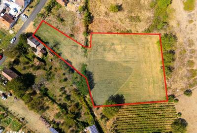 Spațiu comercial, în Miniș - 3