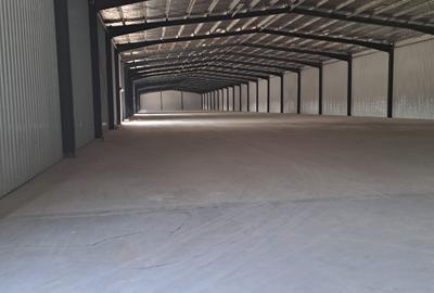 Hala 4200mp cu rampa in Afumati pentru depozitare Hala 4200mp cu rampa in Afumati pentru depozitare - 3