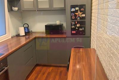 Apartament cu 2 camere decomandat, mobilat în Tineretului - 3