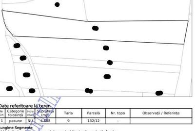 Teren extravilan pasune Ardeoani, ID: R2404603 - 5
