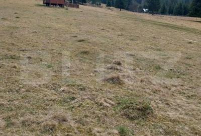 Teren de 4000 mp, în Central - 13