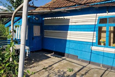 Casă cu 2 camere în Cozia - 10