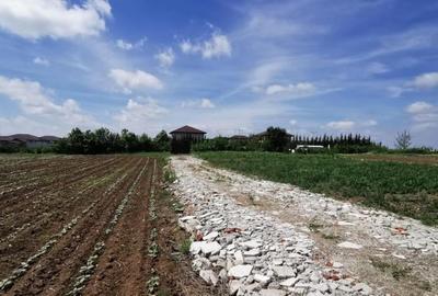 Balotesti 2 loturi de 1400mp, 2 loturi a cate 750mp - 4