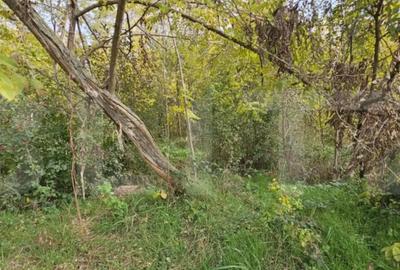 Teren de 1950 mp, în Gorgota - 5