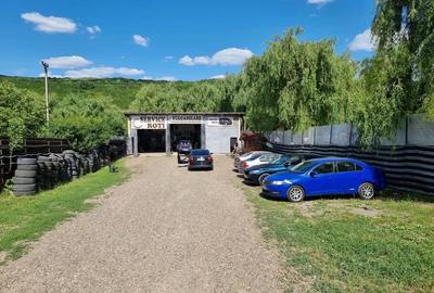 Spațiu comercial, de 350 mp, în Păcurari - 3