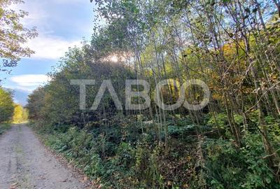 Teren in suprafata de 2990 mp cu vedere la munte zona turistica Lisa - 2