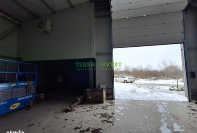 Spațiu comercial, de 242 mp, în Theodor Pallady - 6