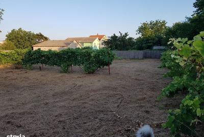 Spațiu comercial, în Nord - 4