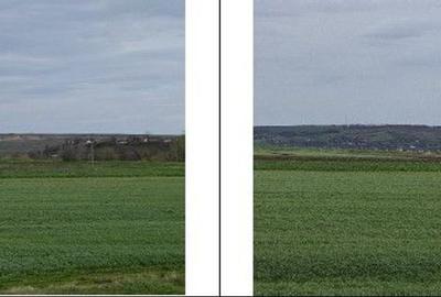 Teren de 20000 mp, în Andrieșeni - 8