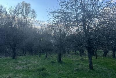 Teren de 2800 mp, în Văleni-Dâmbovița - 8