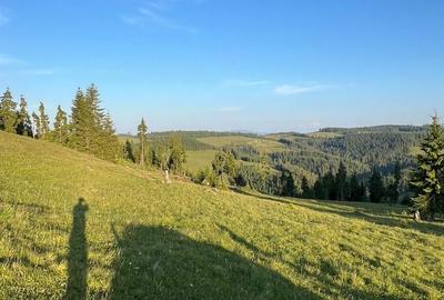 Teren de 500000 mp, în Ciocănești - 6