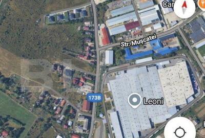 Teren intravilan, de vanzare, 6 ari, zona Leoni - 3