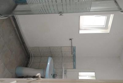 Casă cu Teren 1680 Mp în Govăjdia - 3