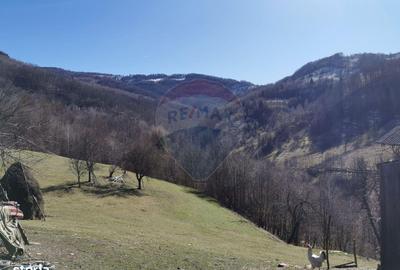 Teren de 10100 mp, în Bulz - 2