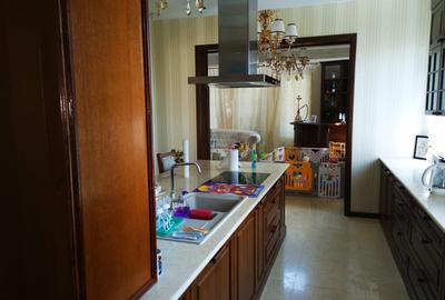 Vila Trivale - Montanstar, teren 1.750mp, piscina, mobilata - 31