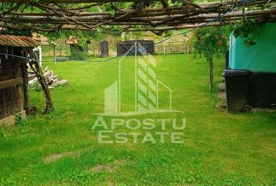 Casa bătrânească de vânzare | 4 camere | Hunedoara | Micănești - 39