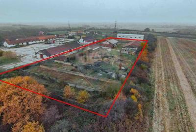 Teren 5674mp si constructii de vanzare, Tilecus - 2