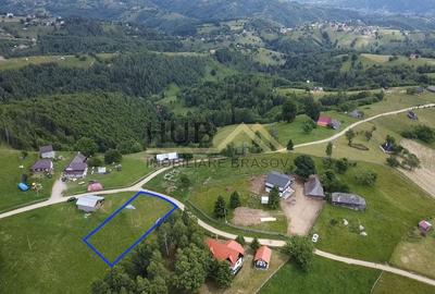 Teren Construcții intravilan de 4649 mp, în Moieciu - 2