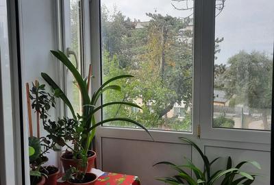 Apartament 3 camere Cernavoda - 3