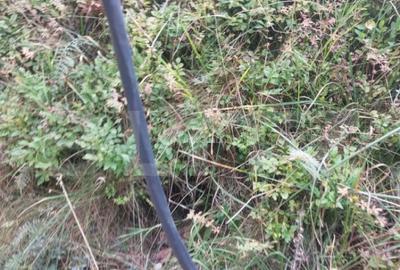 Teren de 17345 mp, în Fundata - 3