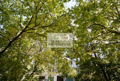 Dr Taberei  Studio+ BOXA 37 mp - Parter Inalt, M Valea Ialomitei 3 minute - 3