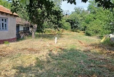 Casă cu 3 camere cu Teren 790 Mp în Stăncești - 3