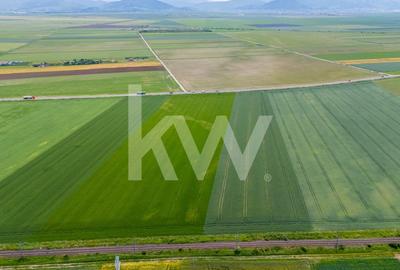 Teren de vanzare I 8 Euro/ mp I Deschidere la drum - Harman - 17