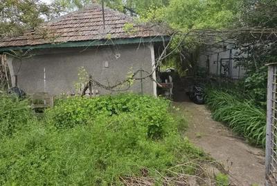Casă cu 3 camere cu Teren 1066 Mp în Petrăchioaia - 4