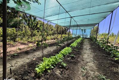 Casă cu 4 camere în Vulturi - 7