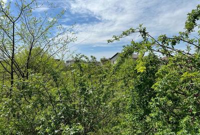 AUTORIZATIE DE CONSTRUIRE Pantelimon -Lebada- str. Sinaia, teren 24.750 mp, dubla deschidere 56 m 6m - 3