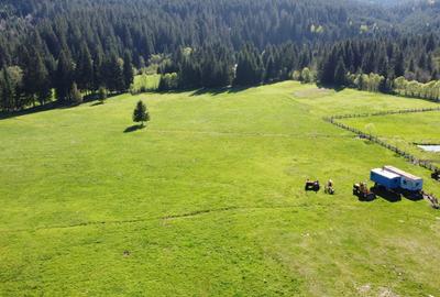 De vânzare teren de 4 ha în Comandău! - 10