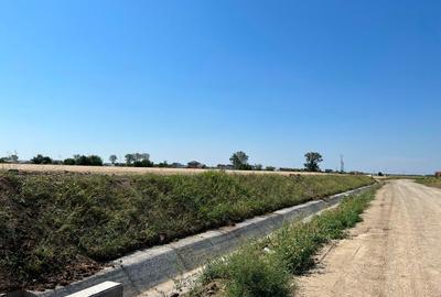 Teren Construcții extravilan de 20000 mp, în Domnești - 1