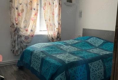 Casă cu 2 camere cu Teren 1250 Mp în Cămineasca - 1