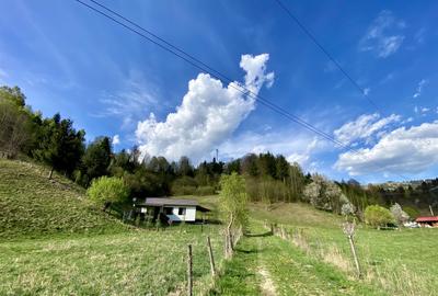 Teren panoramic insorit, utilitati, panta mica si padure, turism sau vacanta - 9