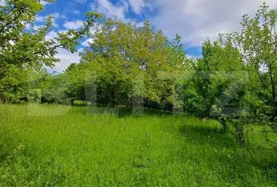 Casă cu 3 camere cu Teren 4873 Mp în Moldovenești - 8