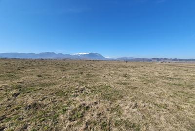 Teren agricol extravilan de 3900 mp, în Exterior Vest - 1