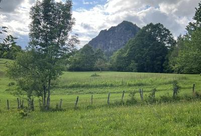 Teren de 5724 mp, în Hărțăgani
