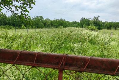 Teren de 18645 mp, în Sântămăria de Piatră - 19