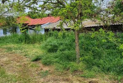 Casă cu 5 camere cu Teren 5500 Mp în Văleni - 8