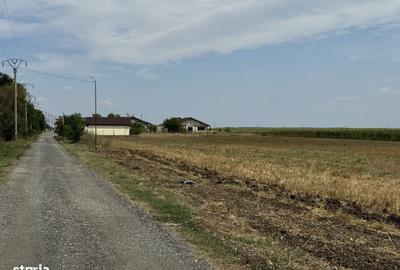 Teren de 590 mp, în Belciugatele - 2