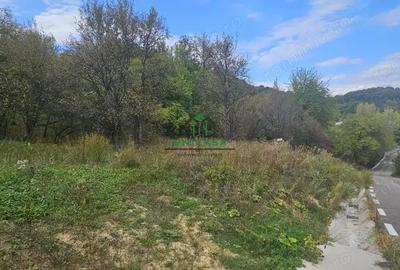 Teren de 828 mp, în Curăturile - 3