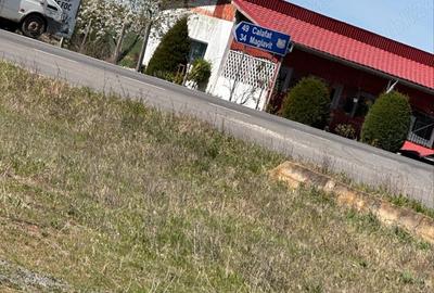 Spațiu comercial, de 1,000 mp, în Punghina - 1