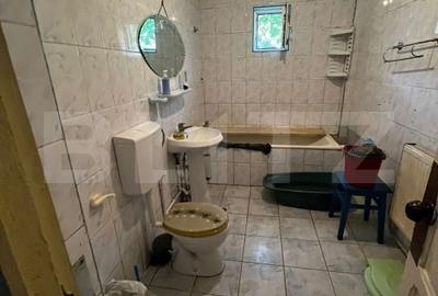 Casă cu 4 camere în Vânători