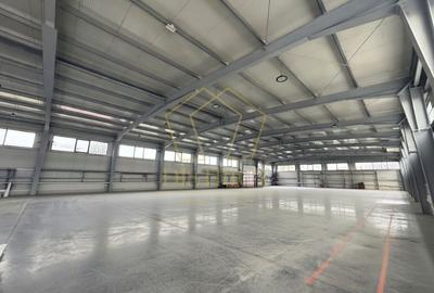 Spațiu industrial, de 1,400 mp, în Dumbrăvița